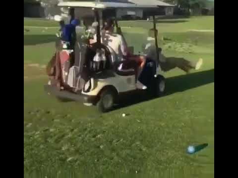 Golfspieler teilen ihre Erfahrungen mit Golfcarts