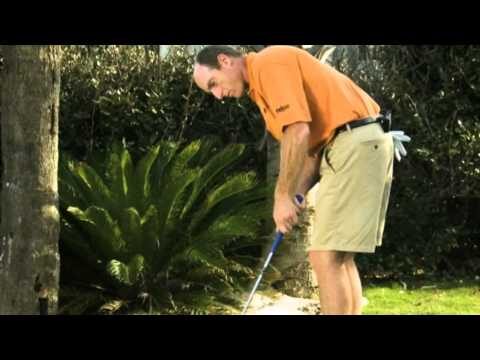 Nachhaltiges Golfdesign: &Ouml;kologische Ans&auml;tze f&uuml;r Golfanlagen