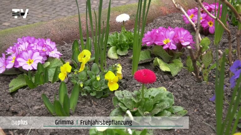 Historische Landschaftsgestaltung: Ein Leitfaden zur Umsetzung