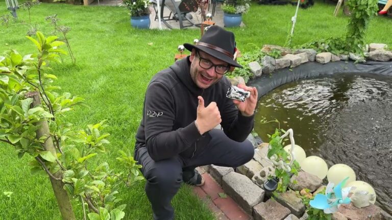 Einfluss lokaler Trends auf die Golfmode