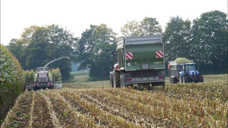 Optimierung der Golfplatz-Infrastruktur: Neue Projekte im Fokus