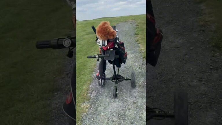 Optimale Verbesserungen f&uuml;r Golftrolleys und Golfausr&uuml;stung