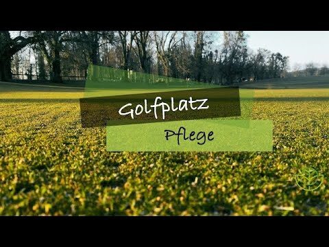 Nachhaltige Rasenpflege im Golf: &Ouml;kologische Strategien f&uuml;r Gr&uuml;nfl&auml;chen