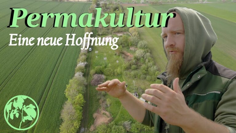 Umweltfreundliche Golfplatzpflege: Nachhaltige Praktiken f&uuml;r gr&uuml;ne Fairways