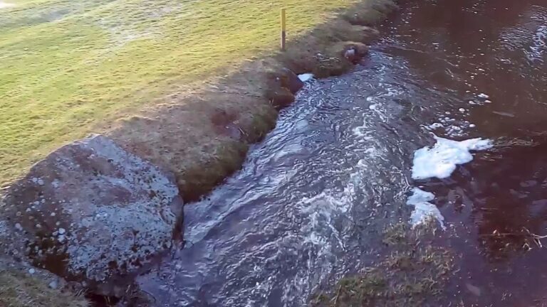 Golfumweltbewusstsein: Die Rolle natürlicher Teiche im Golfspiel