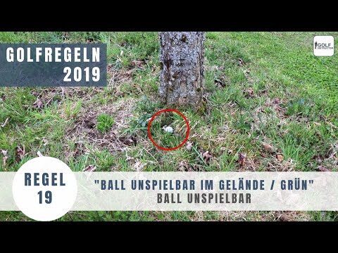 Handschuhe und Golfregeln: Einsteigerleitfaden f&uuml;r den Golfsport