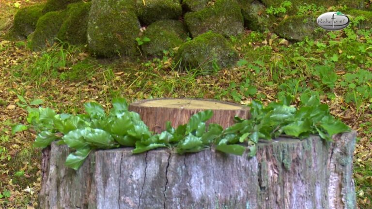 Harmonie von Golf und Nat&uuml;rlichen Teichen